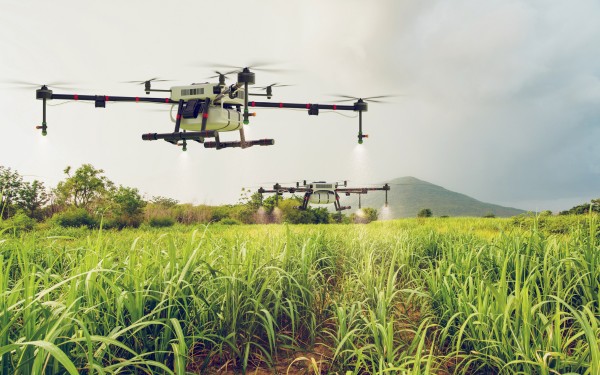 Usluge u poljoprivredi - Dron i agrikultura